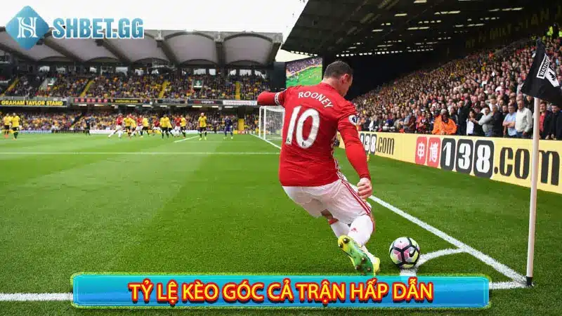 Tỷ lệ kèo góc cả trận hấp dẫn