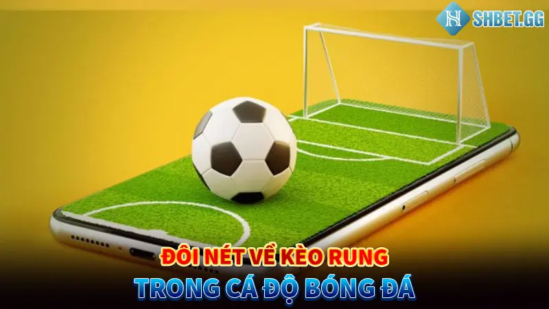 Đôi nét về kèo rung trong cá độ bóng đá