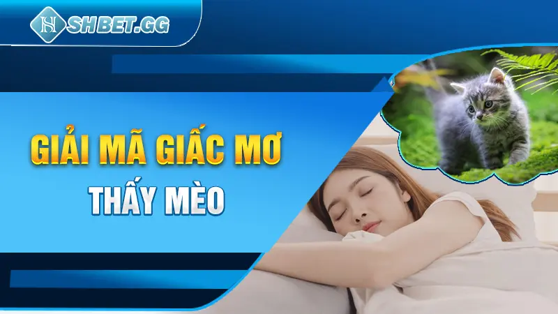 Giải mã giấc mơ thấy mèo