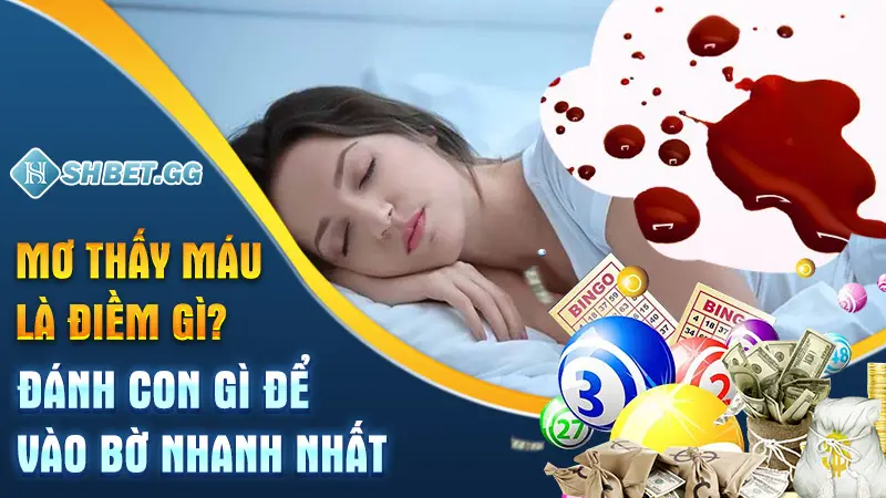 Mơ Thấy Máu Là Điềm Gì? Đánh Con Gì Để Vào Bờ Nhanh Nhất