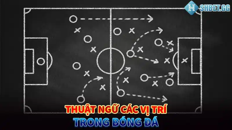 Thuật ngữ các vị trí trong bóng đá