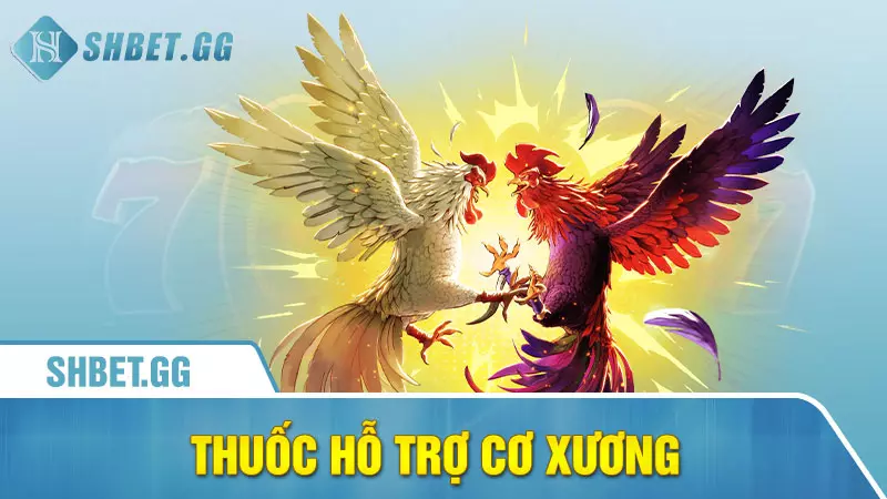 Thuốc hỗ trợ cơ xương