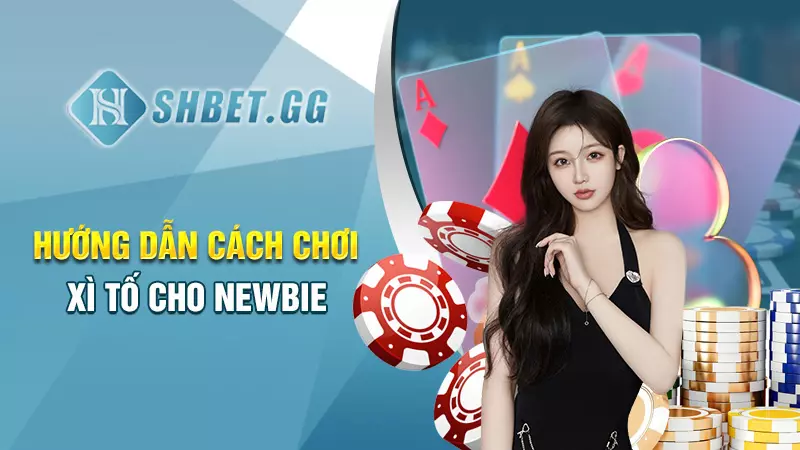 Hướng dẫn cách chơi xì tố cho newbie