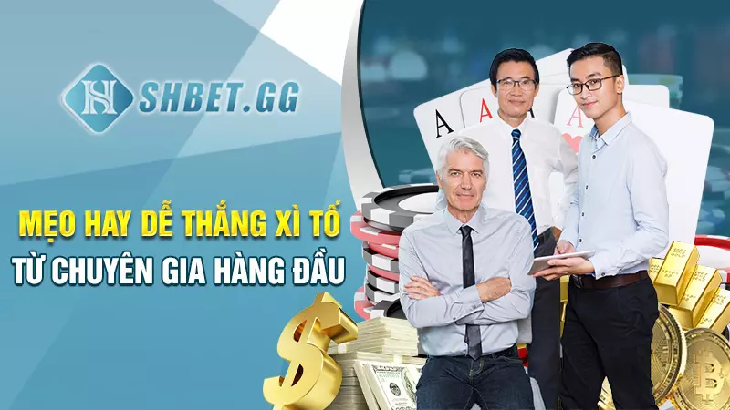 Mẹo hay dễ thắng xì tố từ chuyên gia hàng đầu