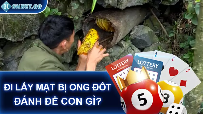 Đi lấy mật bị ong đốt đánh đề con gì?