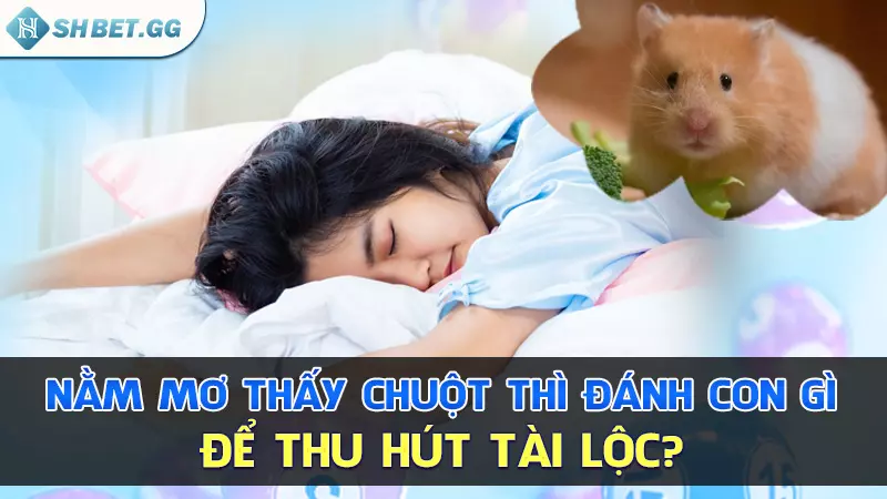 Nằm mơ thấy chuột thì đánh con gì để thu hút tài lộc?