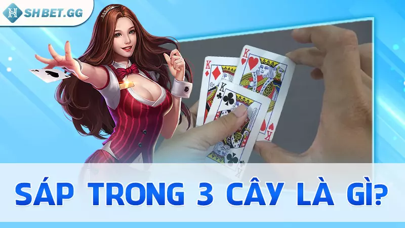 Sáp trong 3 cây là gì?