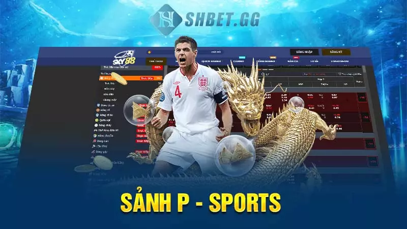 Sảnh P - SPORTS