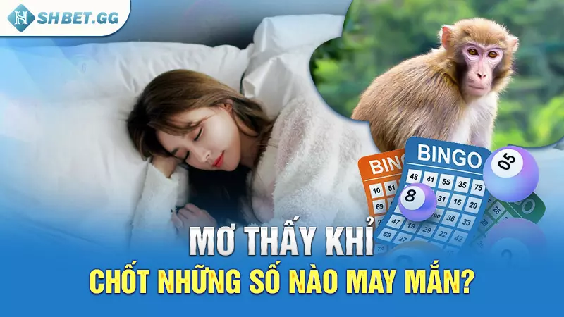 Mơ thấy khỉ, chốt những số nào may mắn?